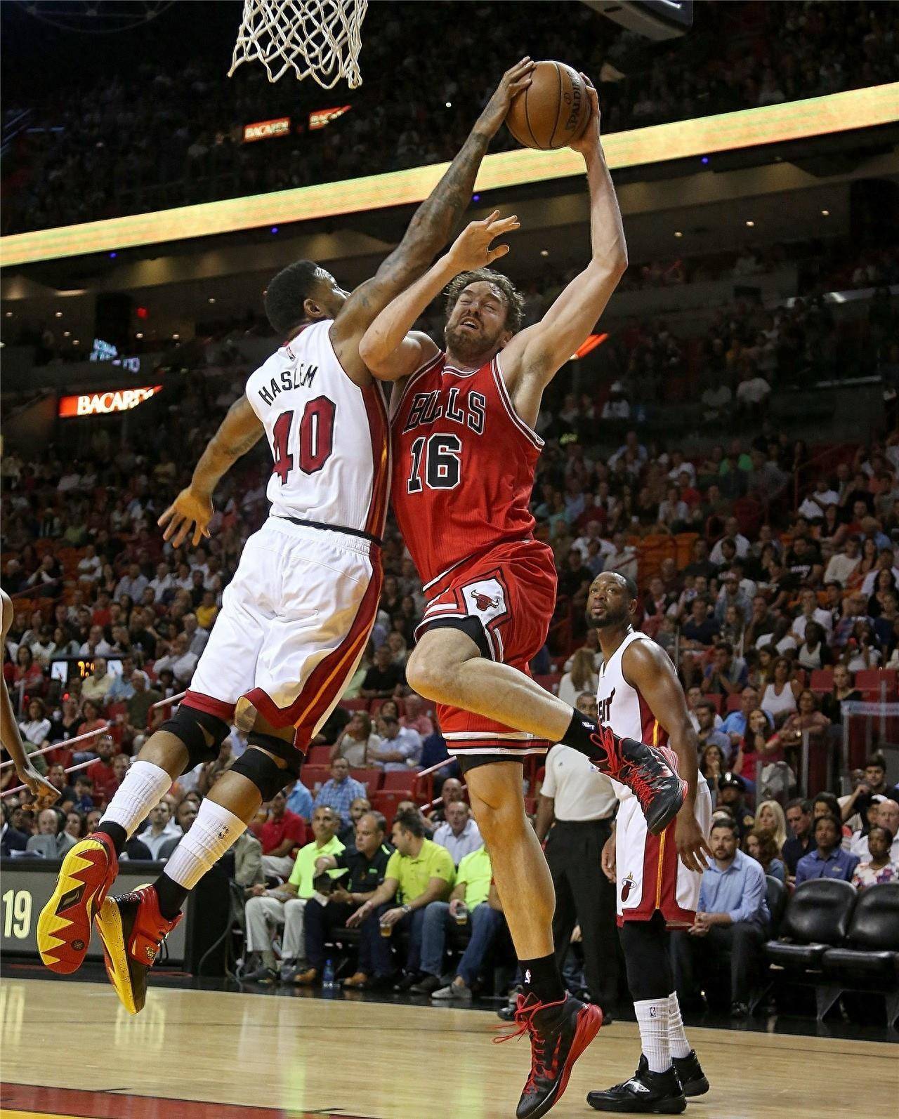 他们将包括 他们将包括