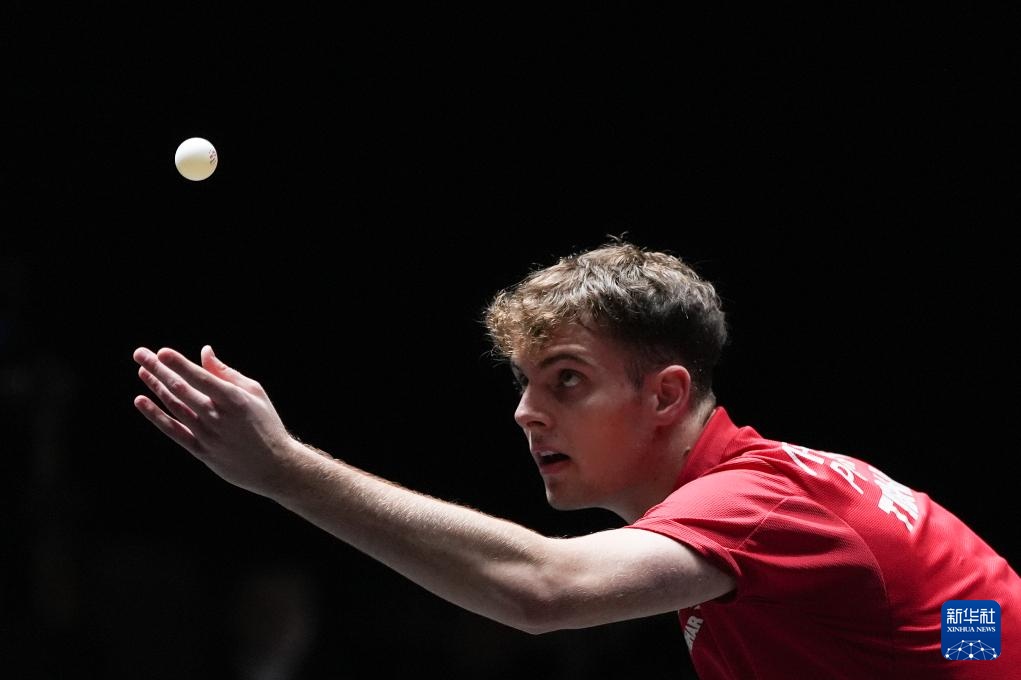 查和训练指 查和训练指